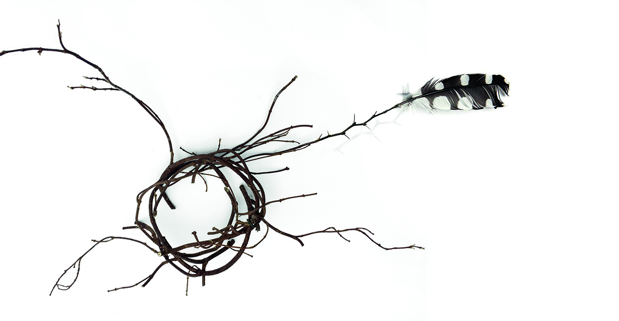 Objecten > In[te]gratie